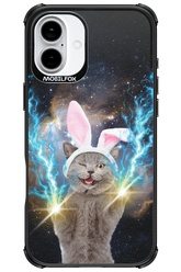 Destroy Cat - Apple iPhone 16 Plus