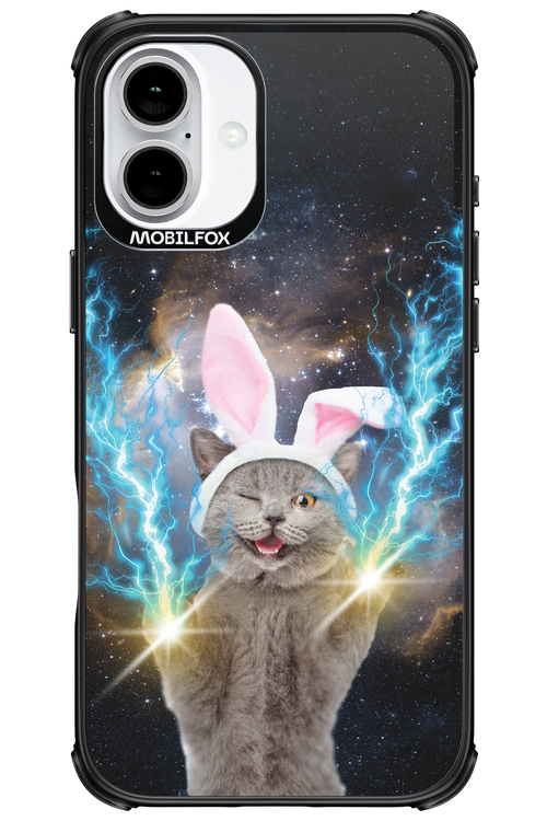 Destroy Cat - Apple iPhone 16 Plus