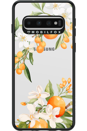 Amalfi Orange - Samsung Galaxy S10