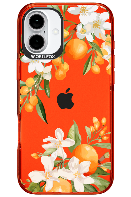 Amalfi Orange - Apple iPhone 16 Plus
