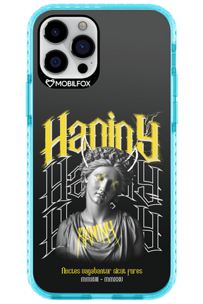 Haniny Icon (black) - Apple iPhone 12 Pro