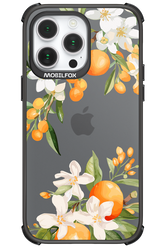 Amalfi Orange - Apple iPhone 14 Pro Max