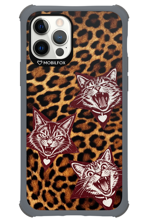 Cats and Chaos 2.0 - Apple iPhone 12 Pro