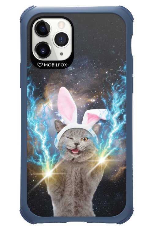 Destroy Cat - Apple iPhone 11 Pro