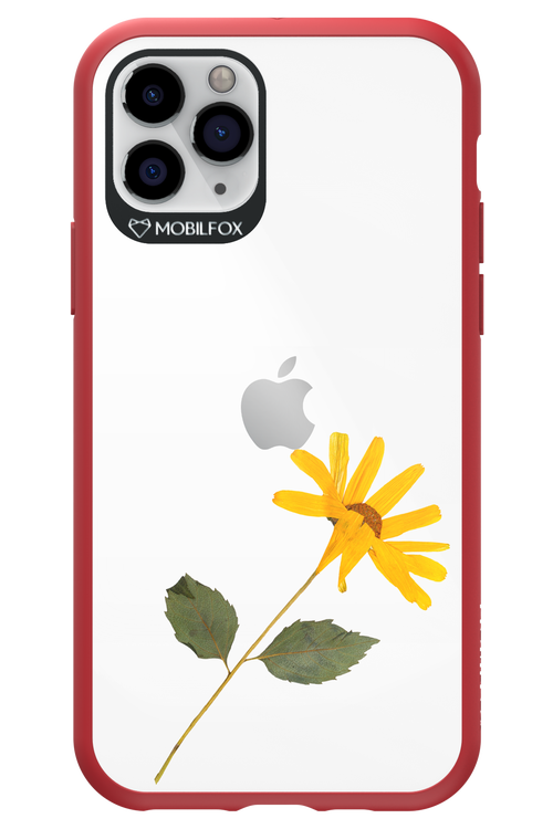 Pressed Flower - Apple iPhone 11 Pro
