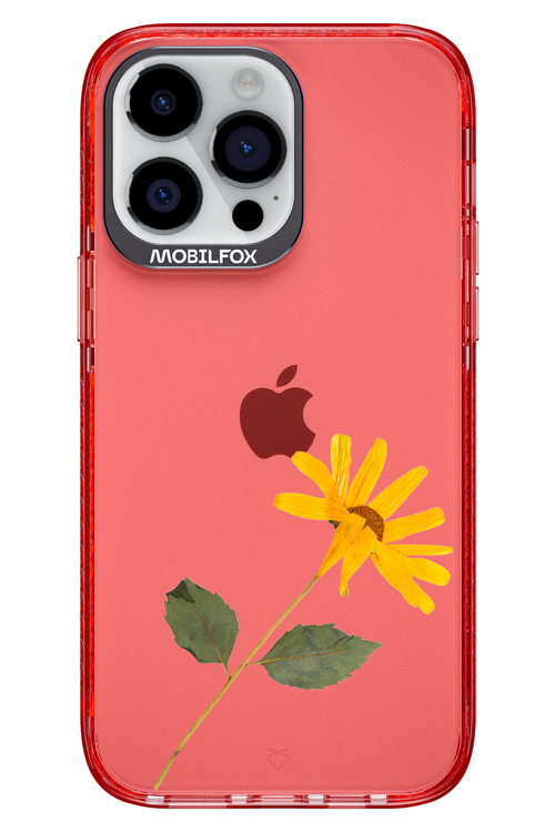 Pressed Flower - Apple iPhone 14 Pro Max