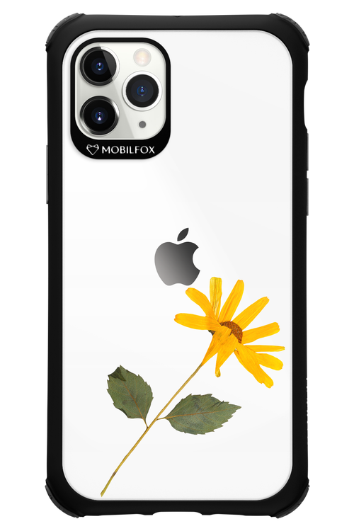Pressed Flower - Apple iPhone 11 Pro