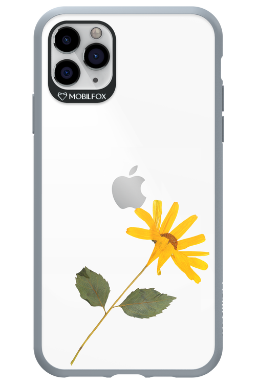 Pressed Flower - Apple iPhone 11 Pro Max