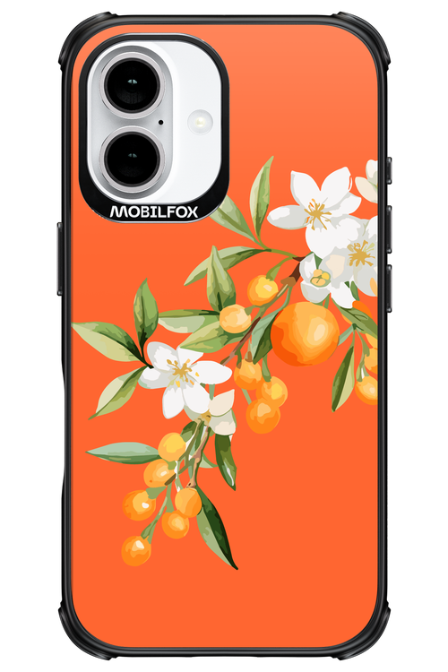 Amalfi Oranges - Apple iPhone 16