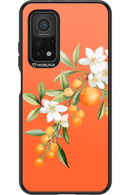 Amalfi Oranges - Xiaomi Mi 10T 5G
