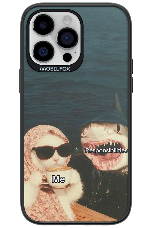 Responsibilities - Apple iPhone 14 Pro Max