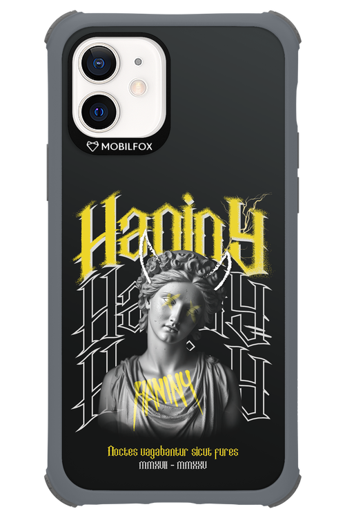 Haniny Icon (black) - Apple iPhone 12
