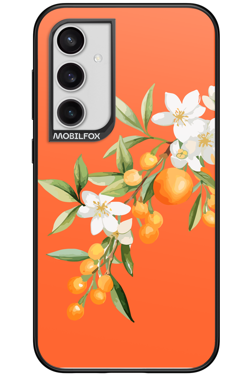 Amalfi Oranges - Samsung Galaxy S23 FE