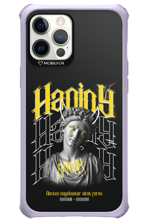 Haniny Icon (black) - Apple iPhone 12 Pro Max