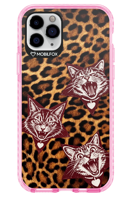 Cats and Chaos 2.0 - Apple iPhone 11 Pro